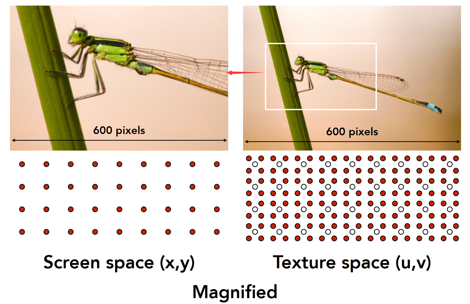 image-20231104175044248